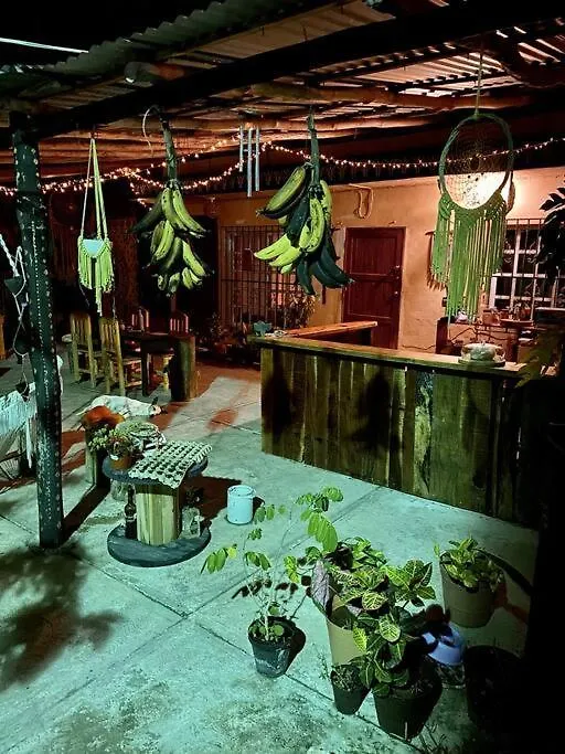 Hermosa Cabana Con Vista A La Laguna, En 5Ta Av. Bacalar