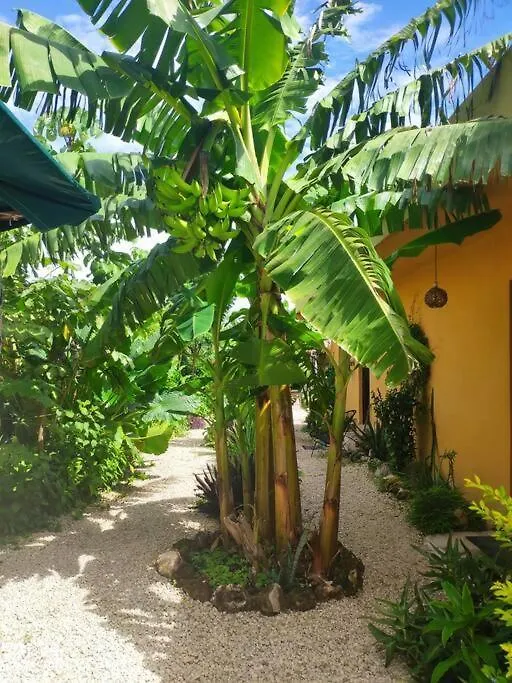 Hermosa Cabana Con Vista A La Laguna, En 5Ta Av. Bacalar 0*,
