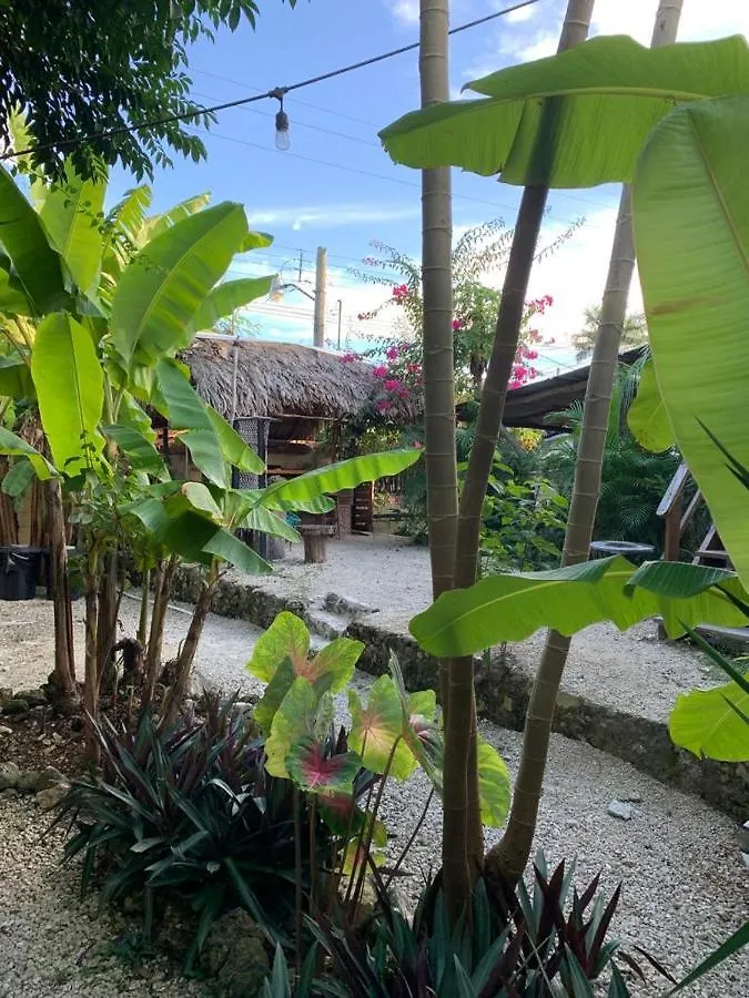 Hermosa Cabana Con Vista A La Laguna, En 5Ta Av. Bacalar Apartment