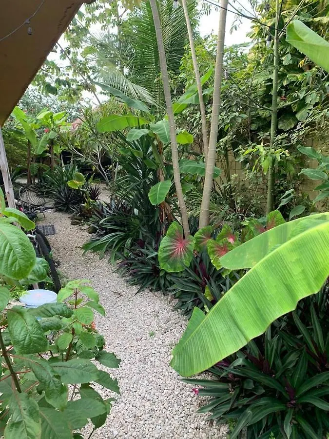 Hermosa Cabana Con Vista A La Laguna, En 5Ta Av. Bacalar